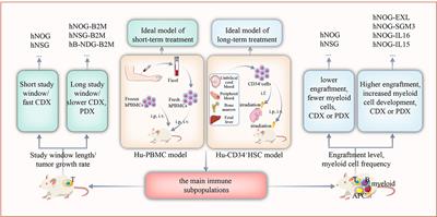 Strategies for the Construction of Mouse Models With Humanized Immune System and Evaluation of Tumor Immune Checkpoint Inhibitor Therapy